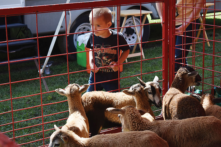 Perry County Fair 2